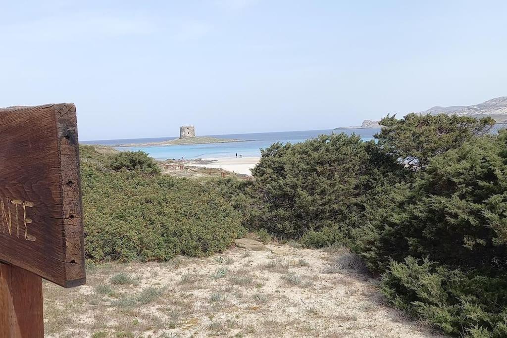 Casa Vacanze Con Giardino I Girasoli - Cin It 09006 - 9 C 2000 R4042- Sorso Bagian luar foto