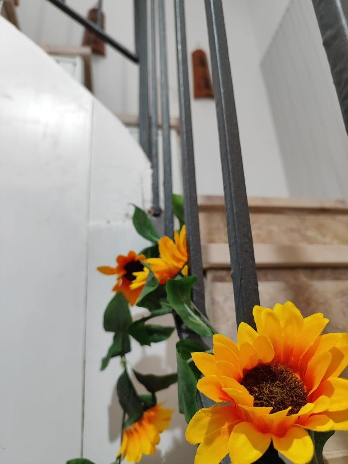 Casa Vacanze Con Giardino I Girasoli - Cin It 09006 - 9 C 2000 R4042- Sorso Bagian luar foto